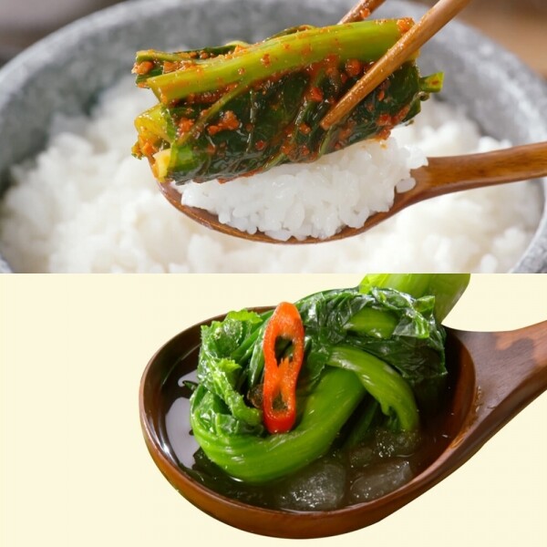 STAR PLANET SHOP,[더트롯쇼] 반팔 티셔츠 굿즈 3가지 색상(블루 / 오렌지 / 보라)