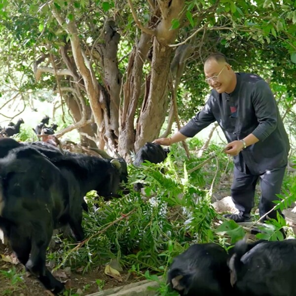 STAR PLANET SHOP,[더트롯쇼] 반팔 티셔츠 굿즈 3가지 색상(블루 / 오렌지 / 보라)