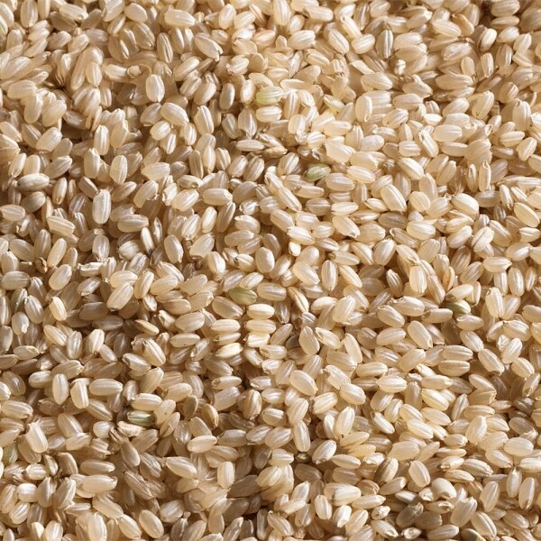 STAR PLANET SHOP,[더트롯쇼] 반팔 티셔츠 굿즈 3가지 색상(블루 / 오렌지 / 보라)