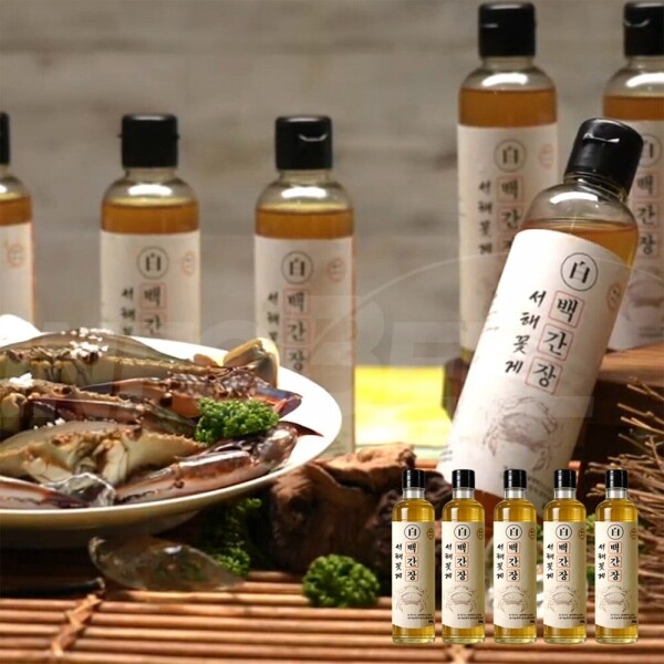 STAR PLANET SHOP,[더트롯쇼] 반팔 티셔츠 굿즈 3가지 색상(블루 / 오렌지 / 보라)