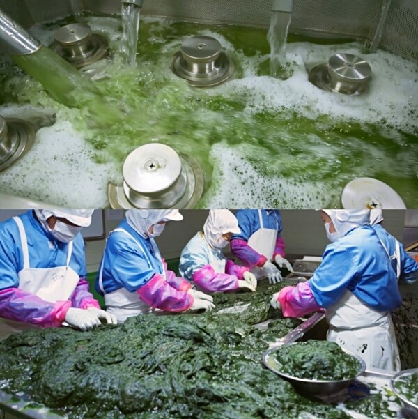 STAR PLANET SHOP,[더트롯쇼] 반팔 티셔츠 굿즈 3가지 색상(블루 / 오렌지 / 보라)